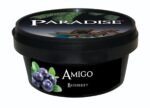 Paradise Steam Stones - Amigo