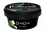 Paradise Steam Stones - Dum Gum