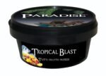 Paradise Steam Stones - Tropical Blast
